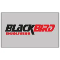BLACKBIRD logo